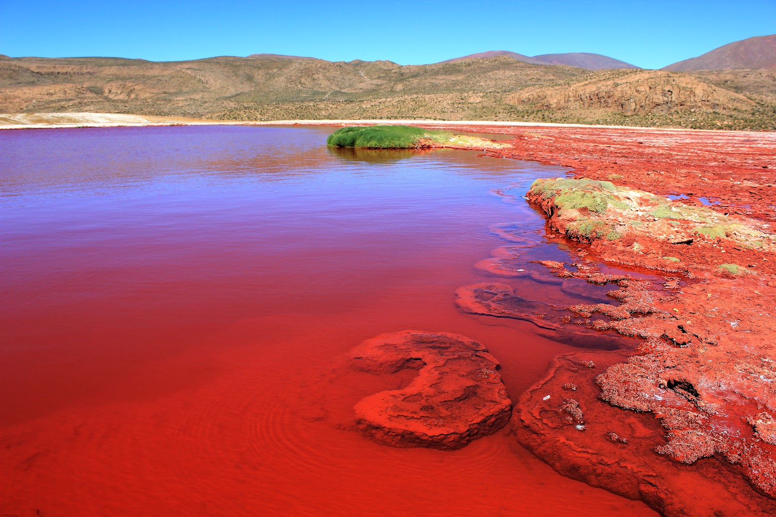 laguna roja 2 ç