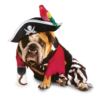 Disfraces-para-perros-Halloween-2009-pirata