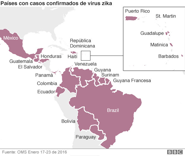 Virus zika 10