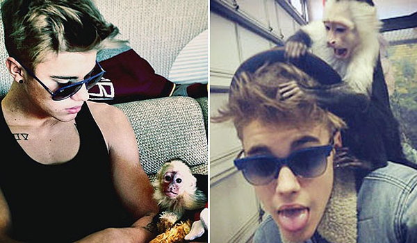 Justin Bieber tuvo un mono llamado Mally. 