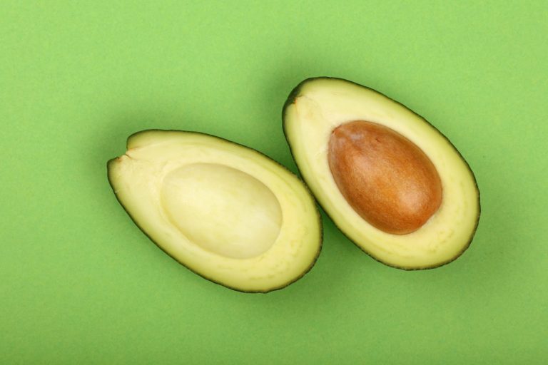 Cuesco de la palta