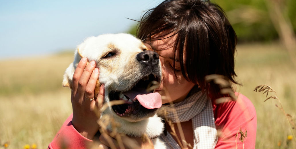 Estudio Confirma Que Tu Perro Quiere Verte Feliz