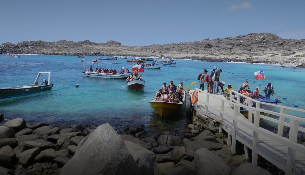 reserva-nacional-pinguino-de-humbolt