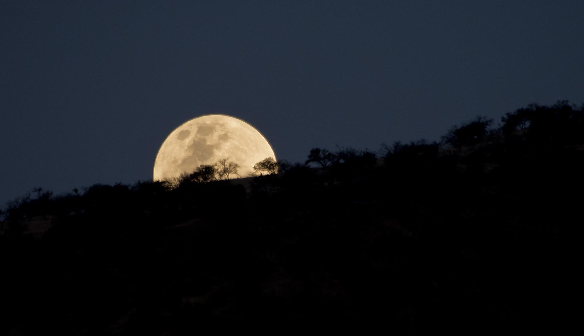 An unusually large and bright Moon -the closest "supermoon" to Earth in 68 years- adorns the night sky in Santiago on November 13, 2016. / AFP PHOTO / MARTIN BERNETTI