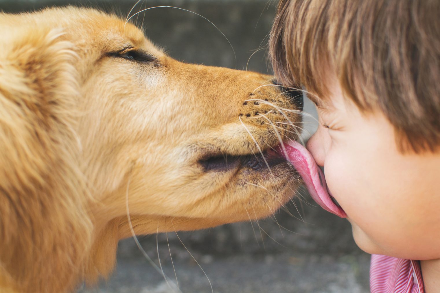 Niños jugando con perro