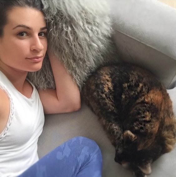 Gatos Lea Michele