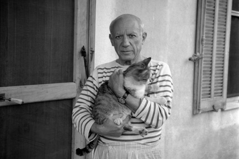 Gatos Pablo Picasso