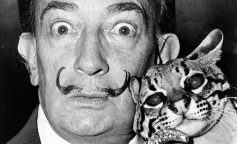 Gatos Salvador Dalí