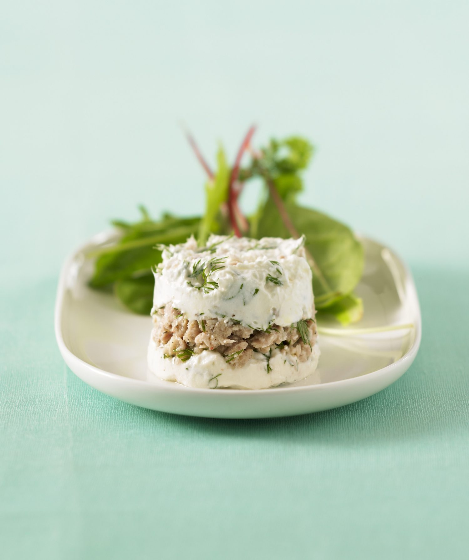 Timbal de atún con zapallito italiano