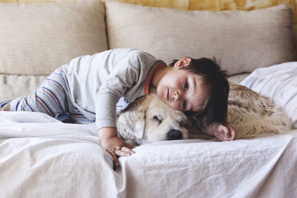 Niños mascota