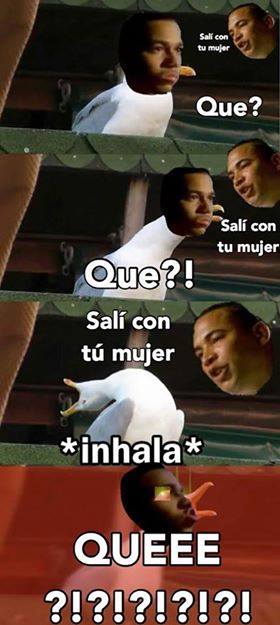 Gaviota intensa meme