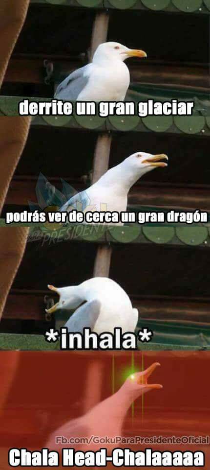 Gaviota intensa meme