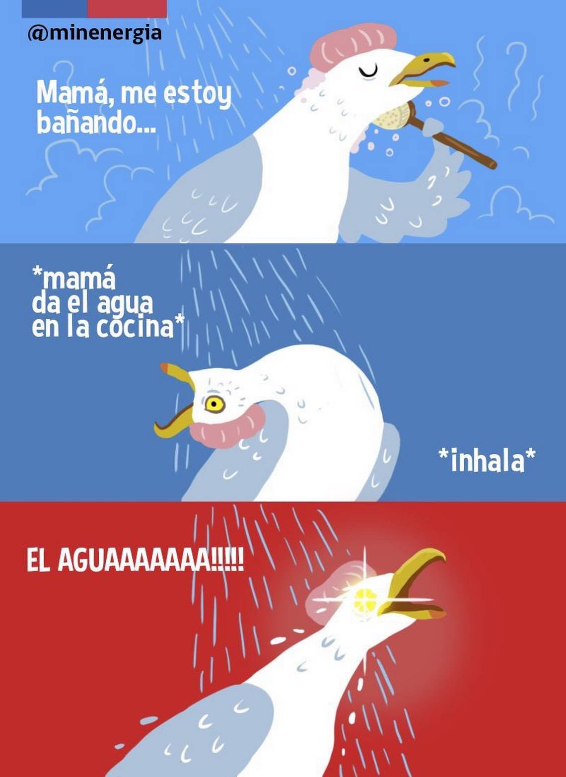 Gaviota intensa ministerio