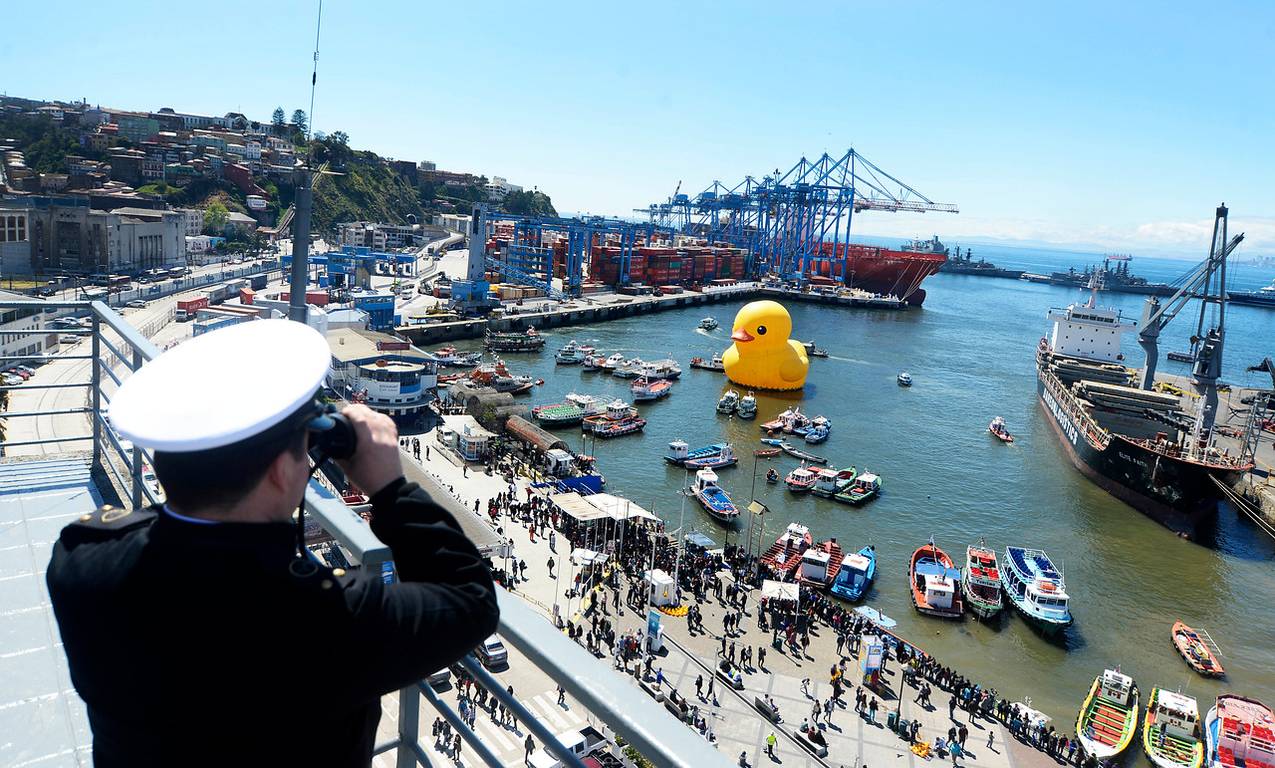 Pato gigante en Valparaíso