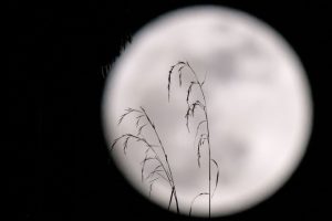 Superluna fotos