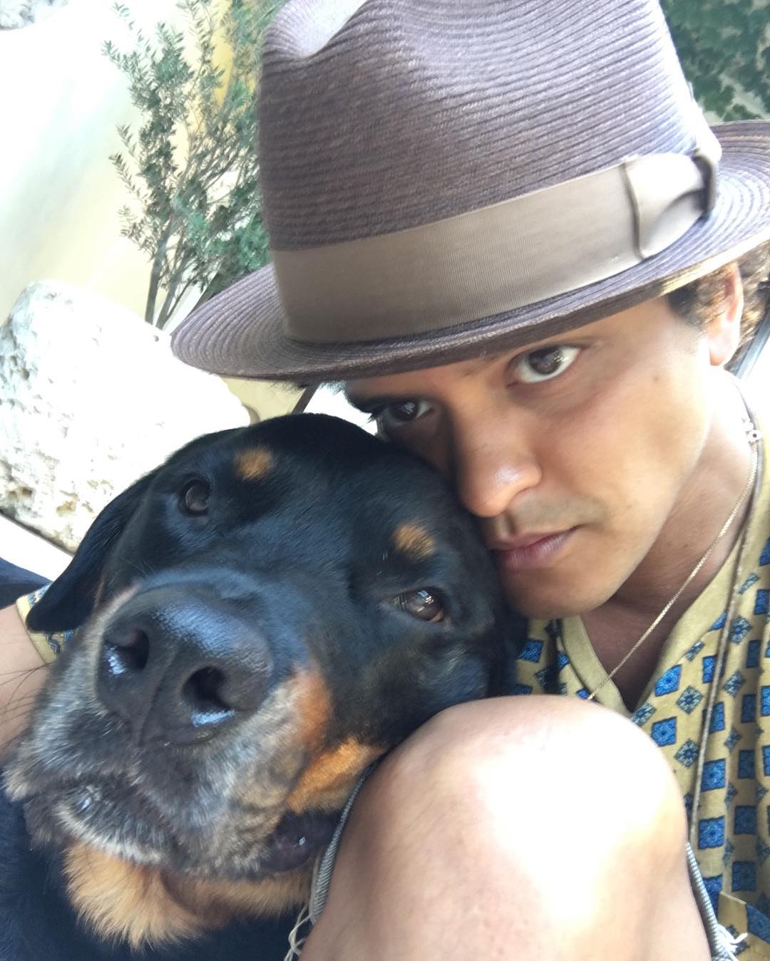 Bruno Mars perro