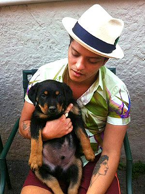 Bruno Mars perro