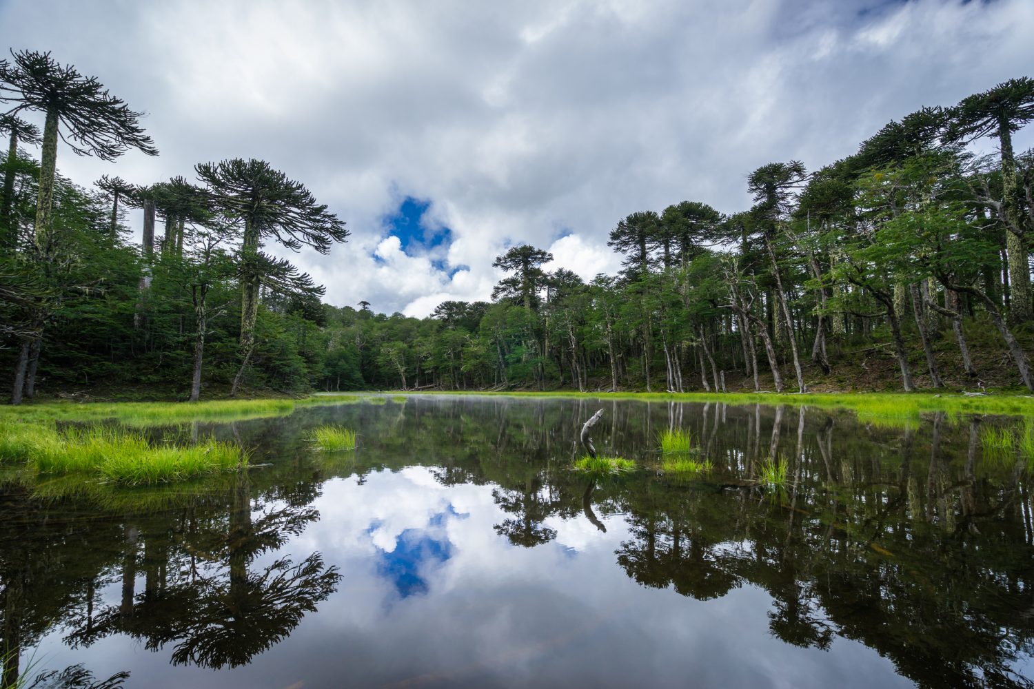 Parque Nacional Huerquehue