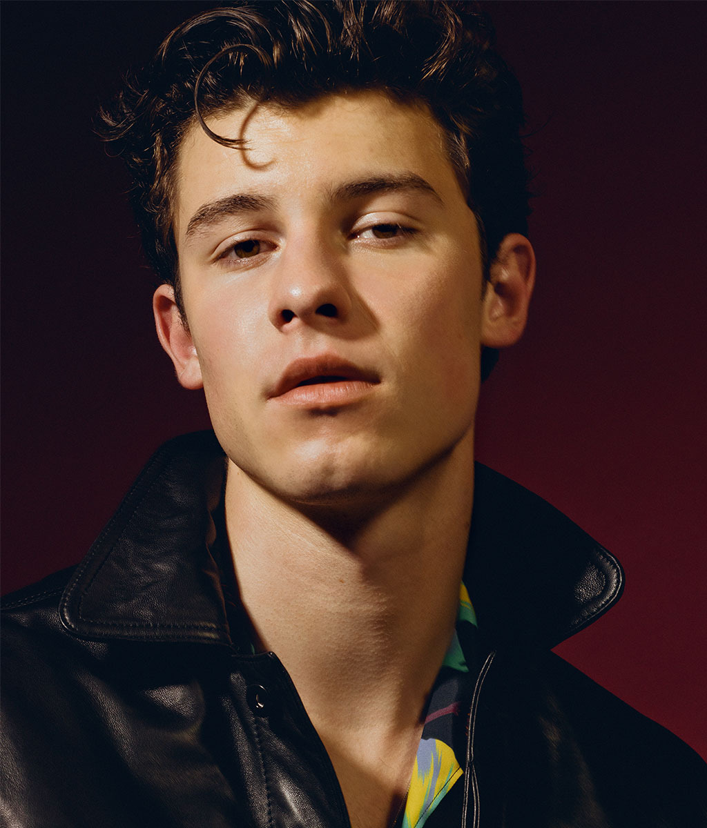 Retrato Shawn Mendes