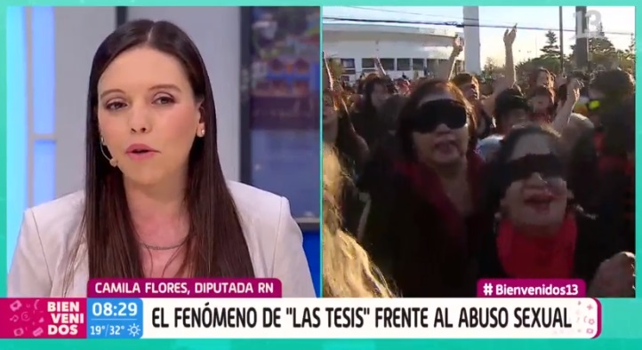 camila flores sobre las tesis