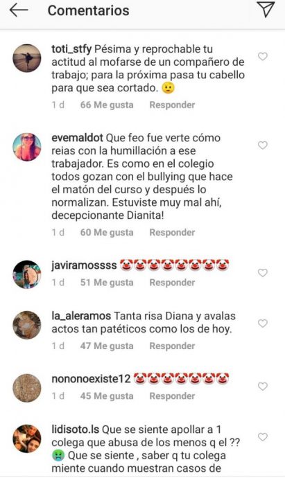 criticas a diana bolocco