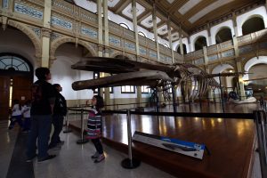 Museo Nacional de Historia Natural