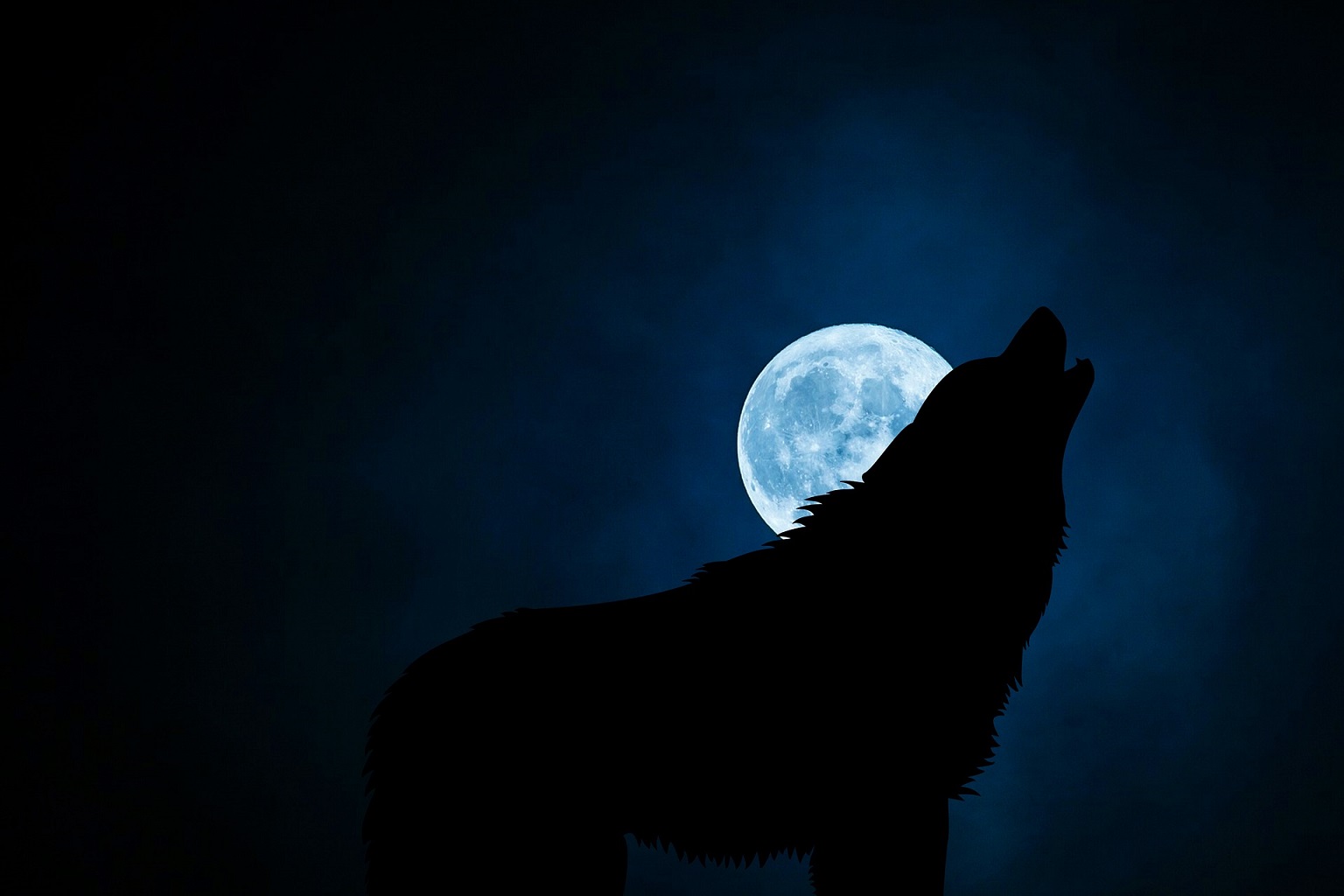 luna de lobo