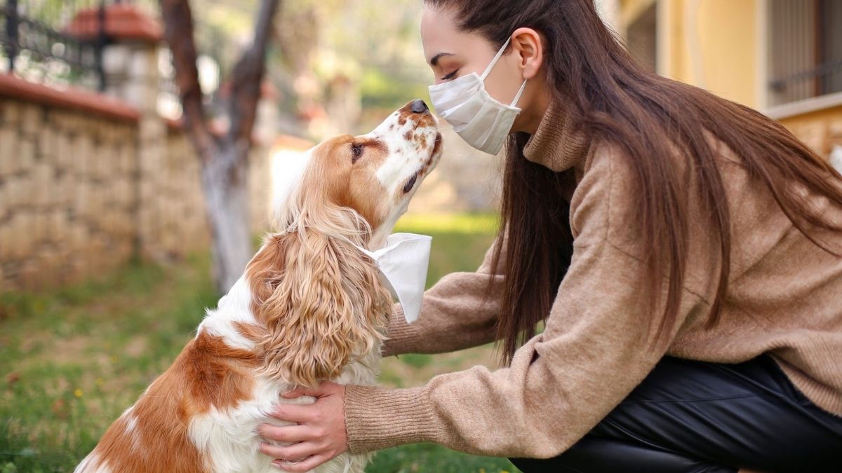 La Variante Británica De Coronavirus Que Afecta A Perros Y Gatos