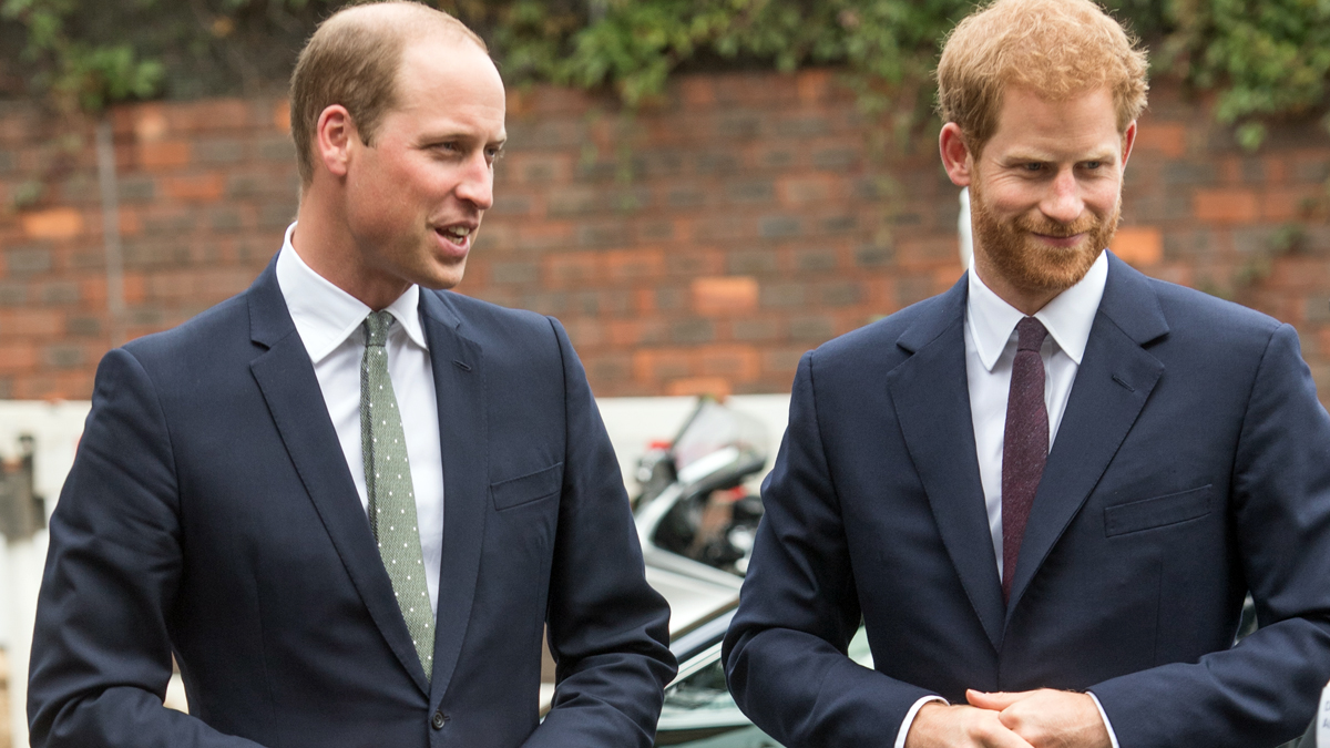 Principes Harry Y William