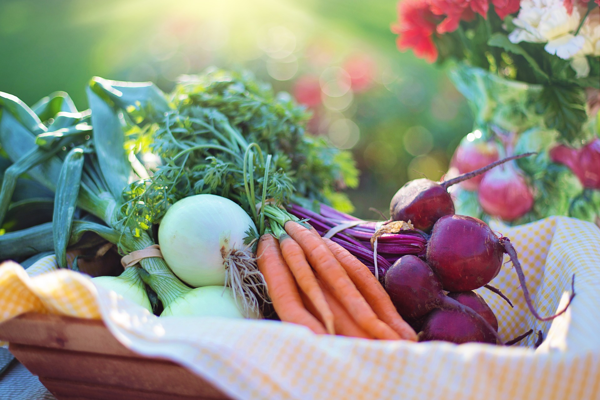 Alimentos Beneficiosos Para Tus Pulmones