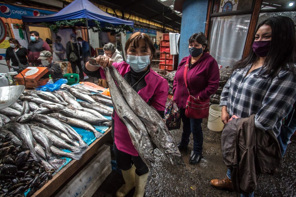 Caleta En Línea La Plataforma Que Ayuda Dónde Comprar Pescados Y Mariscos — Fmdos 8869