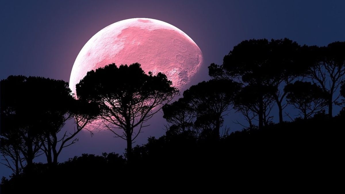 ¡Prepárate Para Disfrutar La Superluna Rosa! Un Evento Imperdible