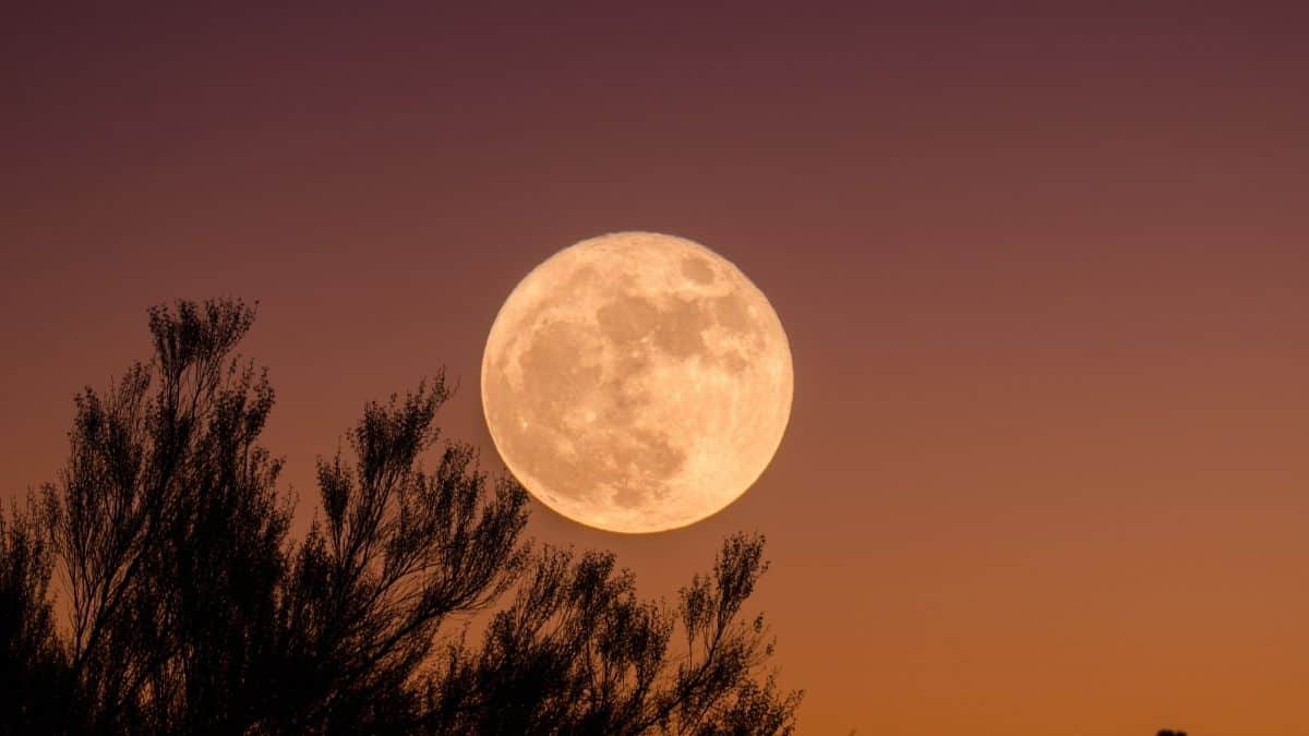 Superluna De Fresa ¿Cuándo Y Dónde Ver El Fenómeno Astronómico?