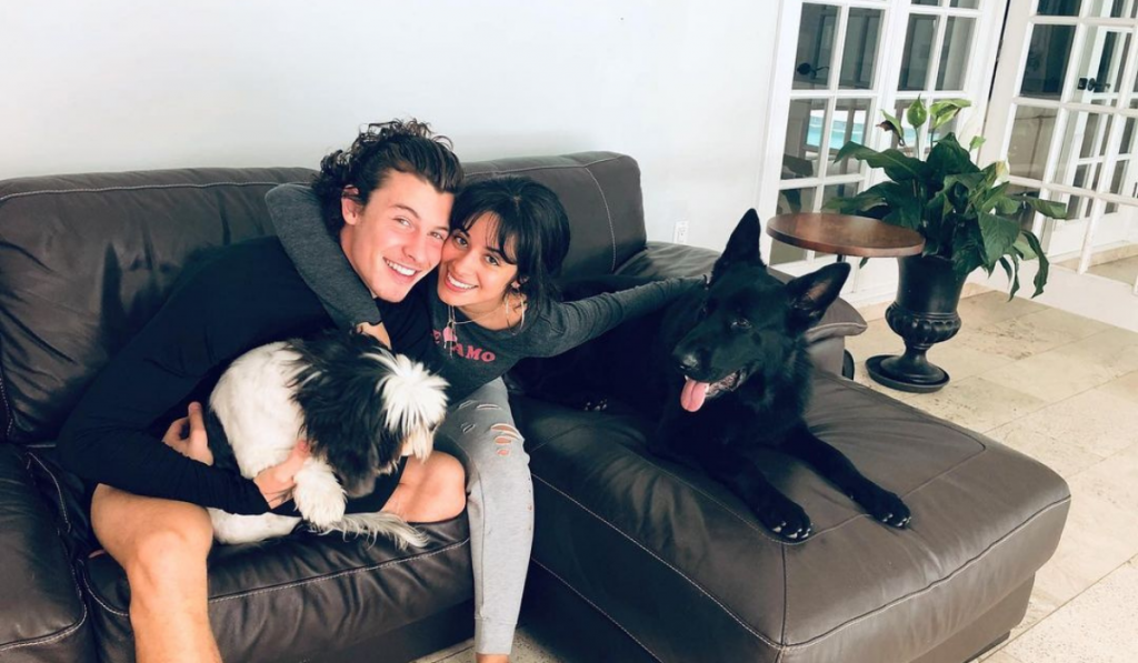 Camila Cabello Y Shawn Mendes Celebraron Dos Anos Juntos