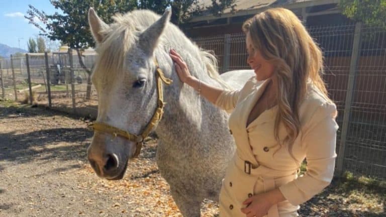 Cathy Barriga Aclara Que La Yegua Julieta Le Pertenece