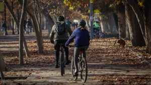 Franja deportiva: ¿Cómo sacarle el máximo provecho?