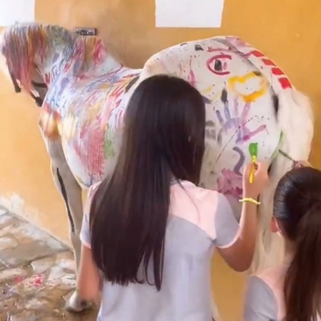 Niños De España Pintan Caballo Blanco