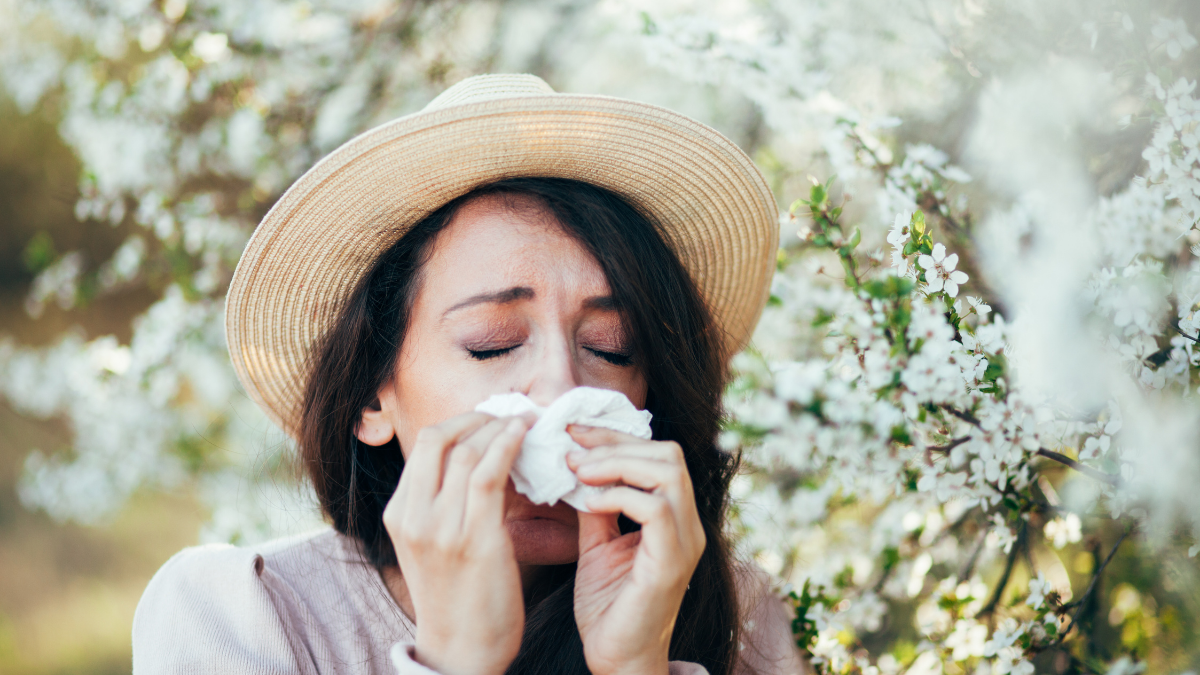 Alergia Primavera