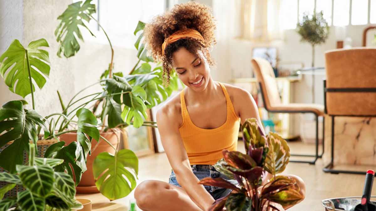 Soñar con Plantas