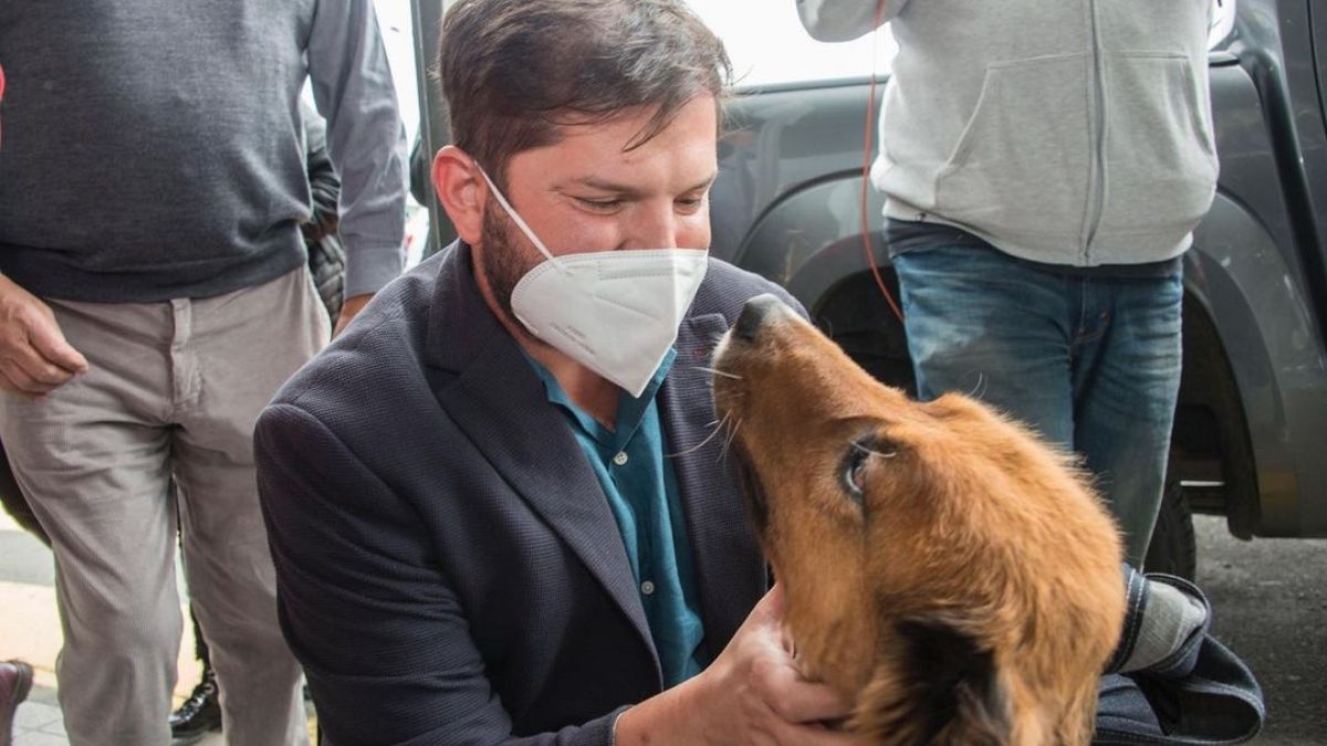 Gabriel Boric Y Brownie