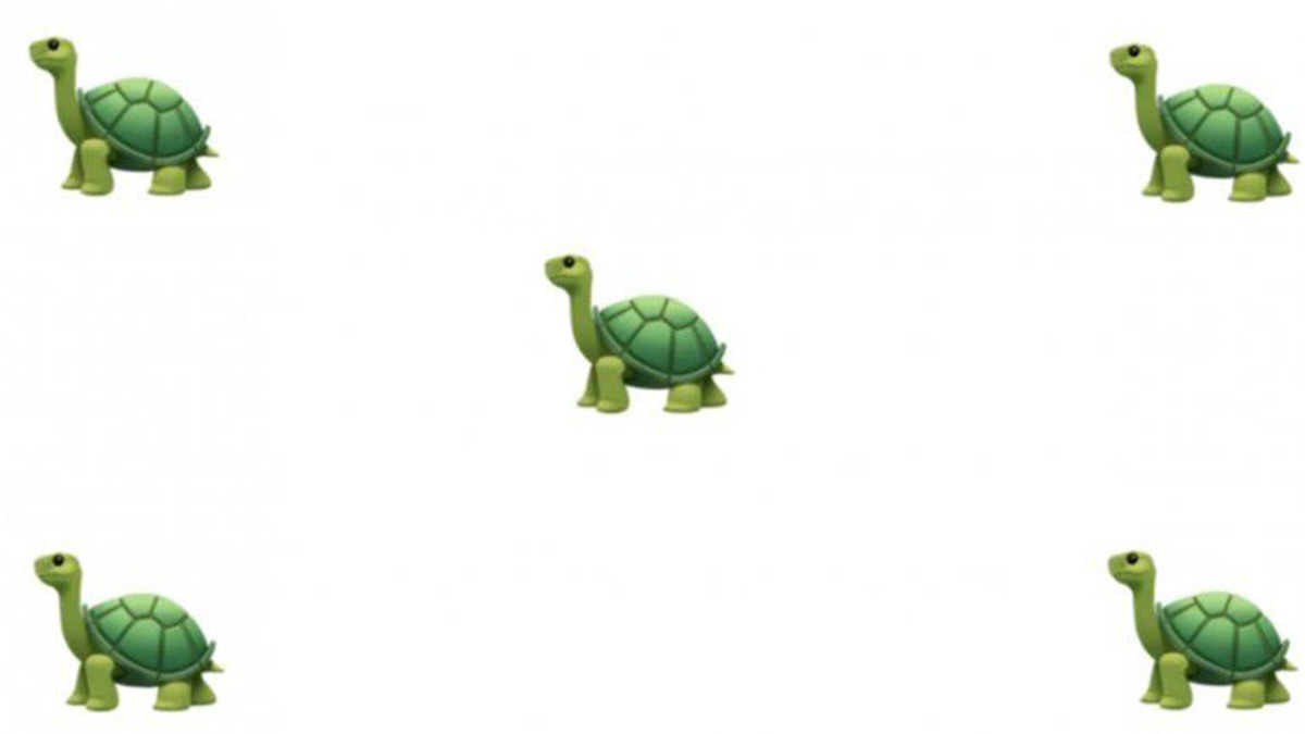 Emoji De Tortuga En WhatsApp