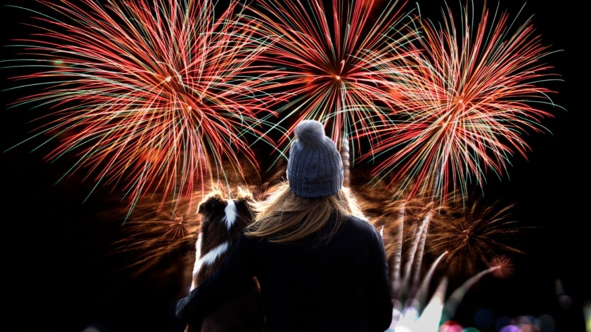 Mascotas Fuegos Artificiales