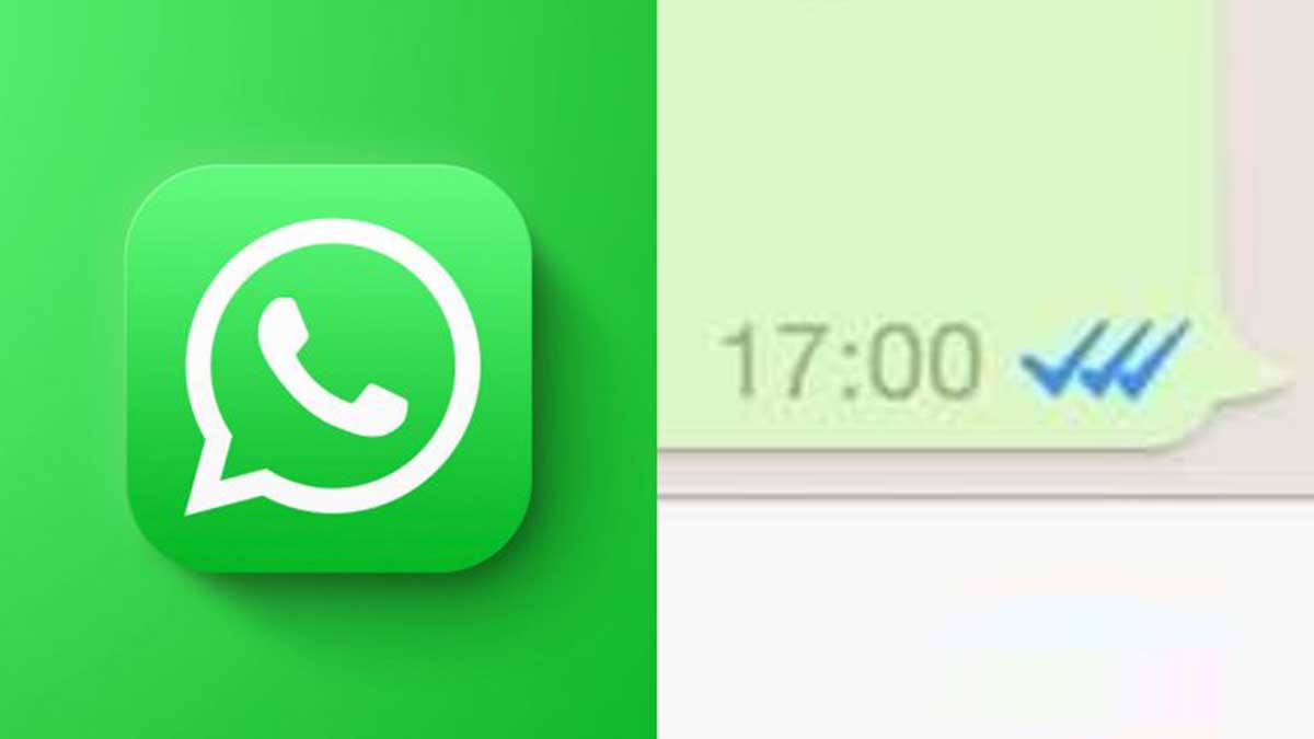 Whatsapp Check Azul