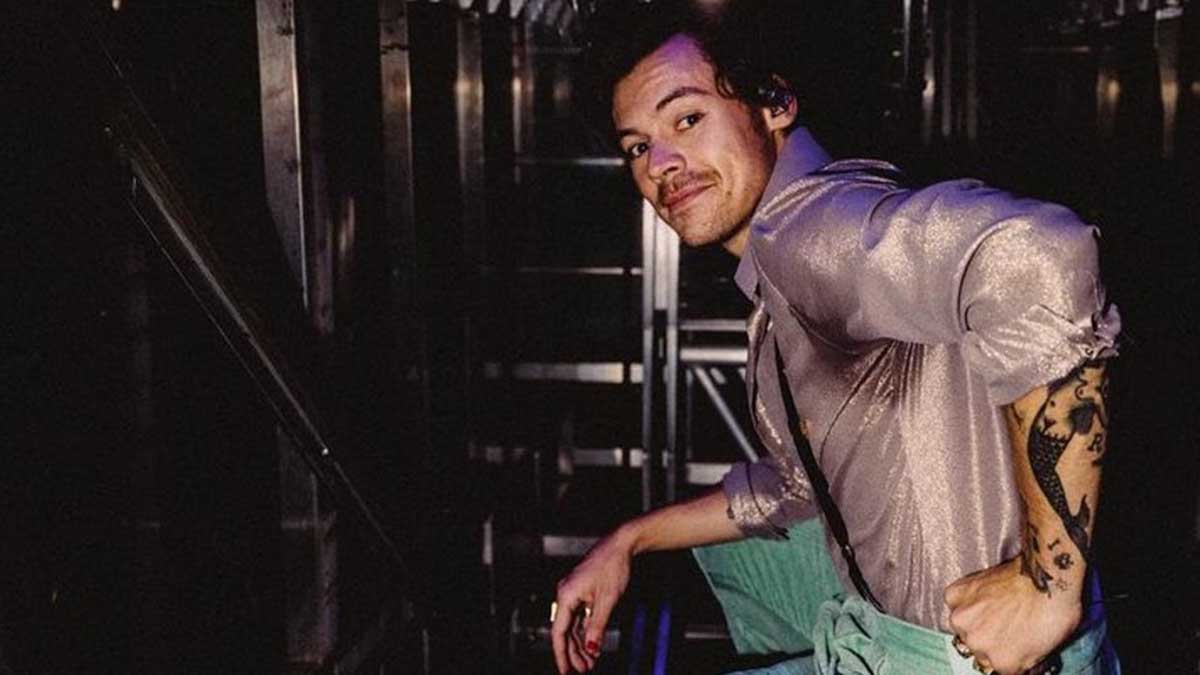 Harry Styles Concierto En Chile