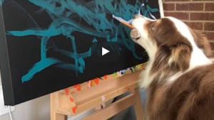 Perro Pintor Viral