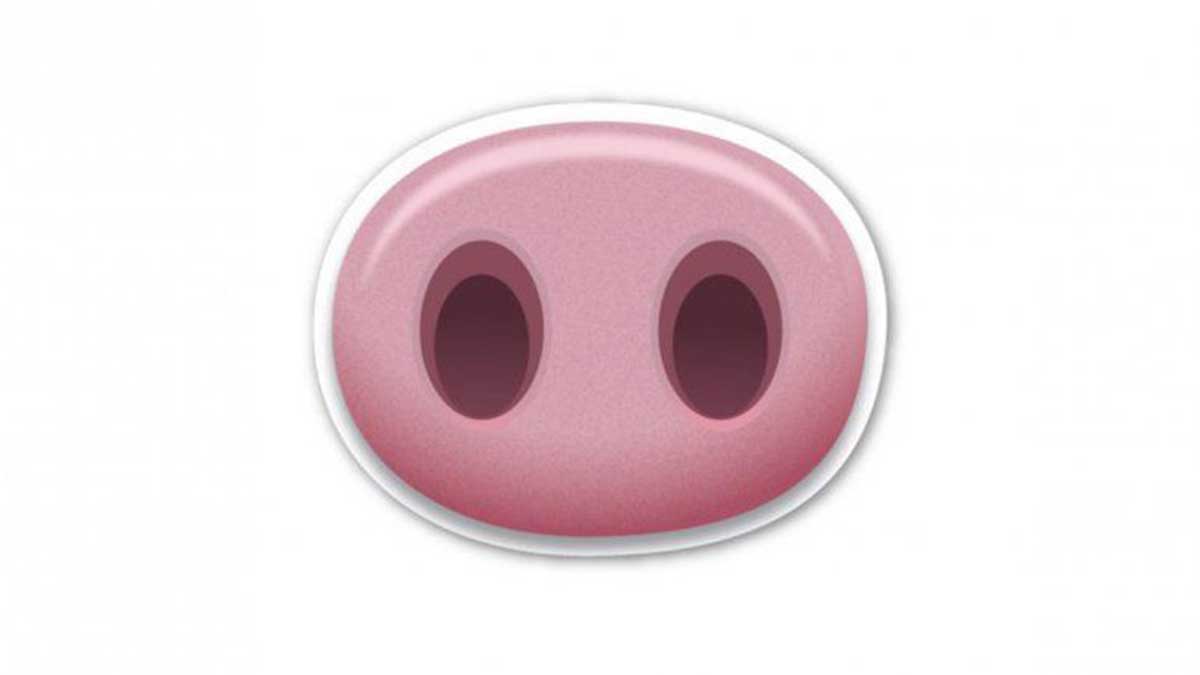 Emoji De Hocico De Chancho En Whatsapp