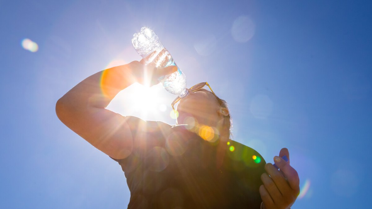 Ola Calor Verano