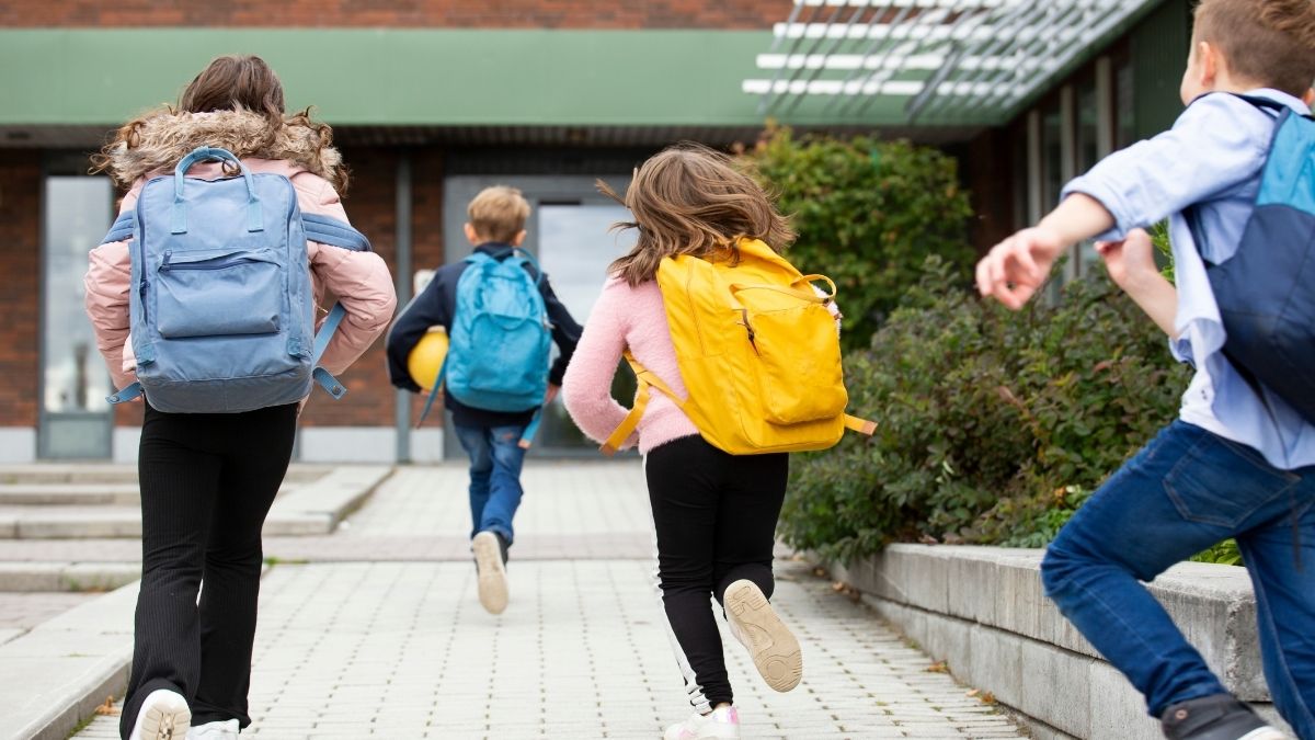 Igualdad De Genero En Escuelas