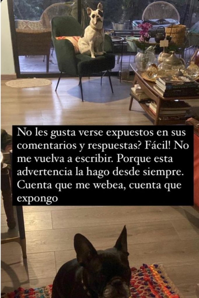 Denisse Malebrán Historias Perro