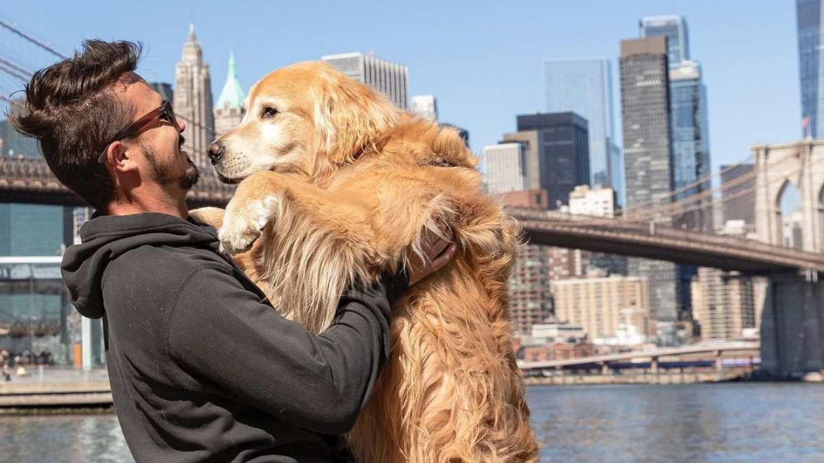 Influencer Brasileño Y Su Perro